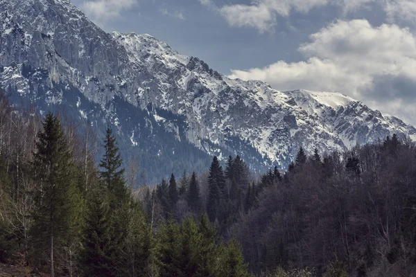 Parku Narodowego Bucegi, Rumunia — Zdjęcie stockowe