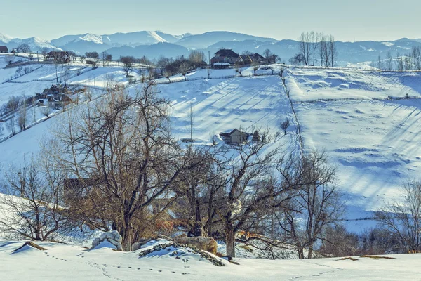 冬の田園風景 — ストック写真