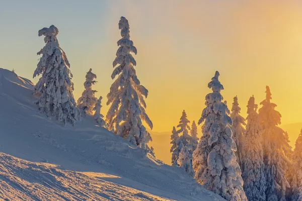 Inverno pôr do sol paisagem — Fotografia de Stock