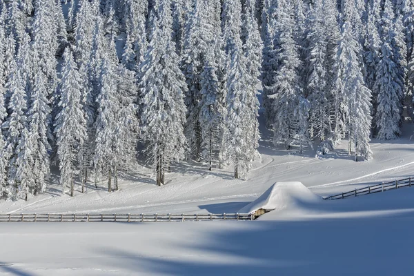 Alpine winterliche Landschaft mit schneebedeckter Hütte — Stockfoto