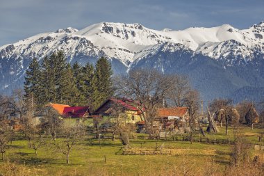 Romanian rural landscape clipart