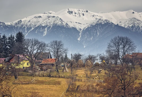 Romanian rural landscape — Stock Photo, Image