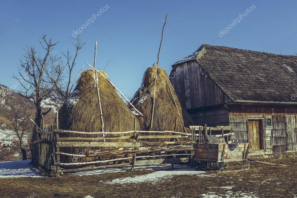 Europe cow old romanian traditonal hi-res stock photography and images -  Alamy