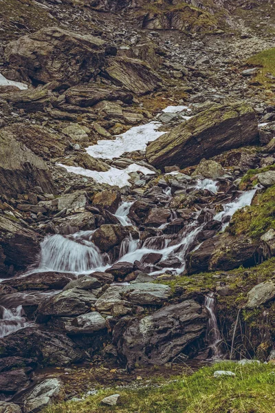 Mountain stream rapids — Stock Photo, Image