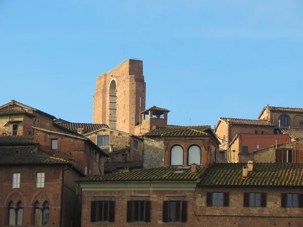 Siena, Piazza del Campo — Stockfoto