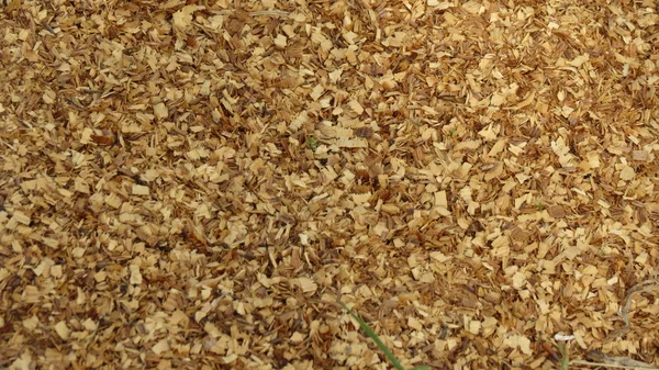 Bark Mulch Texture Useful Background — Stock Photo, Image