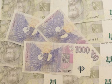 1000 ve 2000 Çek korunası banknotlar