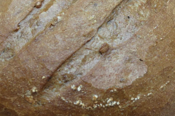 Круглая Буханка Коричневого Хлеба — стоковое фото