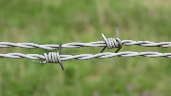 Security Line Barbed Wire Fence — Stock Photo, Image