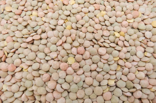 Lentils Пульсові зернові бобові овочі — стокове фото