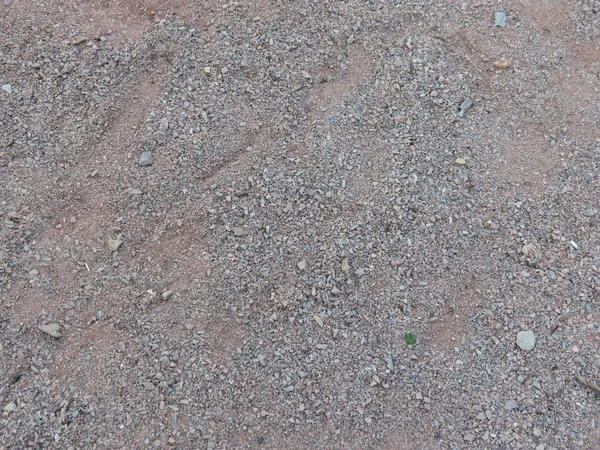 乾燥した土壌を背景として有用なクローズ アップ — ストック写真