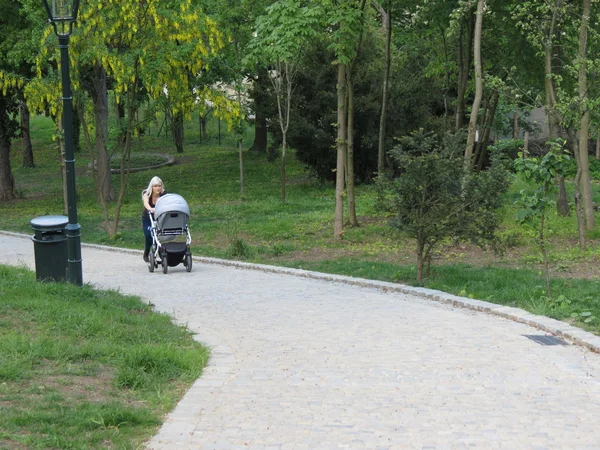 Brno Tschechische Republik Mai 2016 Unbekannte Junge Mutter Schiebt Kinderwagen — Stockfoto