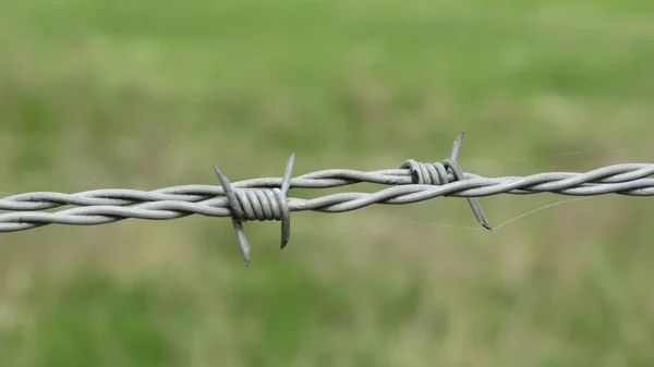 Security Line Barbed Wire Fence — Stock Photo, Image