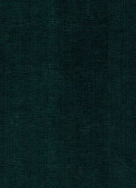 koyu yeşil deri arka plan