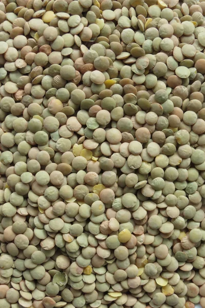 Lentils Пульсові зернові бобові овочі — стокове фото