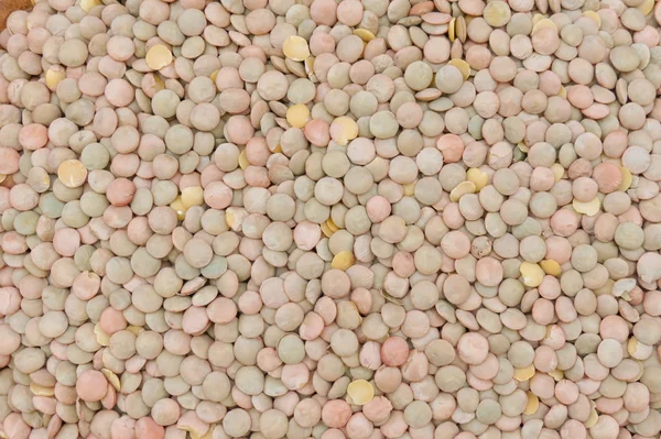 Чечевица пульсирует зерновые бобовые овощи — стоковое фото