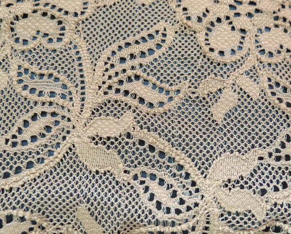 Белые Ecru Цветочные Кружева Текстуры — стоковое фото