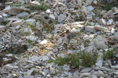 Eski bir terk edilmiş fabrika beton duvarlar - enkaz ayrıntı ile yıkıntıları