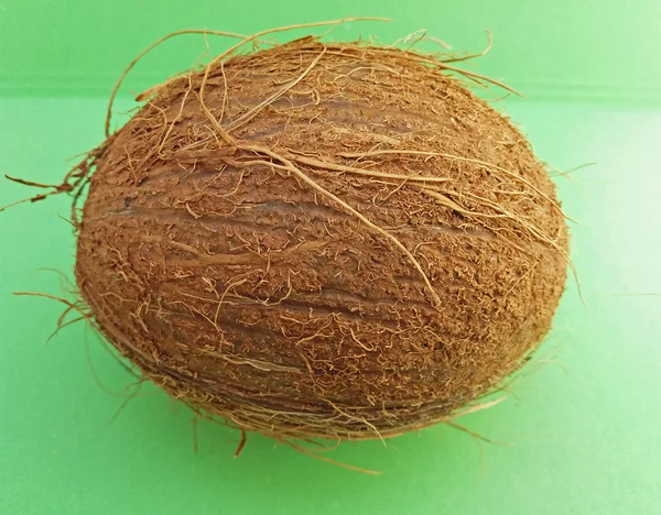 Fruta de coco sobre fundo verde claro — Fotografia de Stock