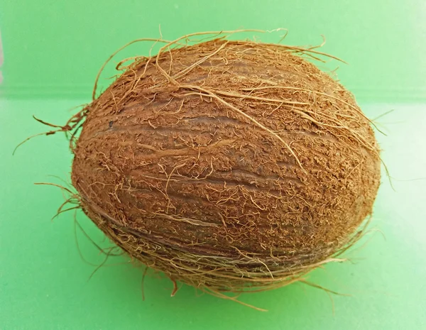 Kokos Cocos Nucifera Muttern Över Ljusgrön Bakgrund — Stockfoto