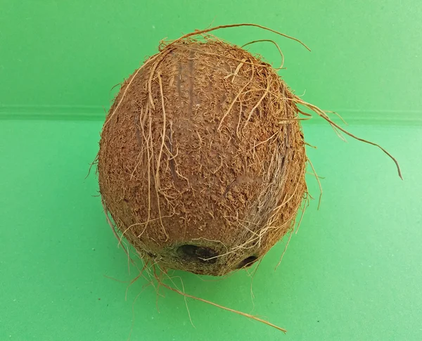 Kokos Cocos Nucifera Muttern Över Ljusgrön Bakgrund — Stockfoto