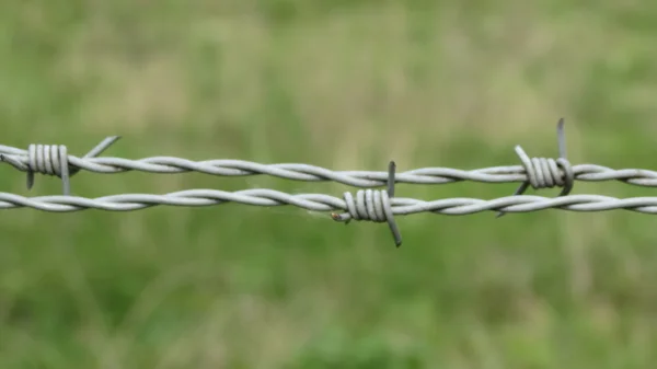 Güvenlik Hattı Bir Dikenli Tel Çit Ile — Stok fotoğraf