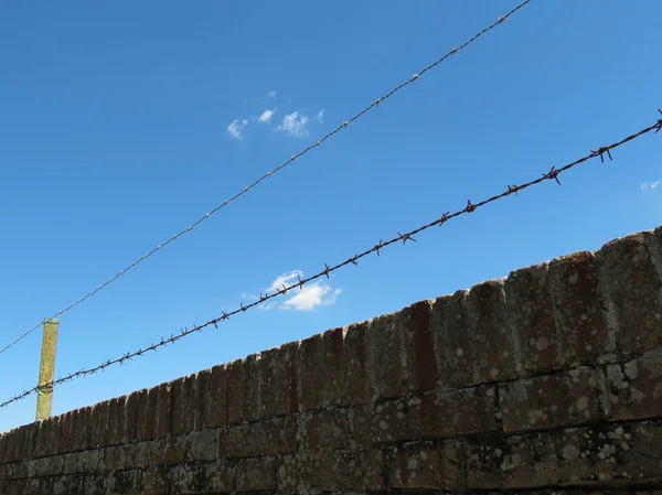 Dikenli Tel Çit Yararlı Perspektif Hapis Özgürlük Kavramı Eksikliği Olarak — Stok fotoğraf