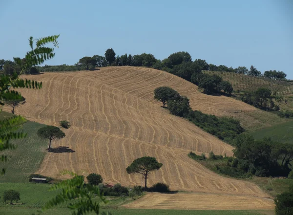 Typiska Landskap Med Kullar Regionen Chiantishire Toscana Italien — Stockfoto