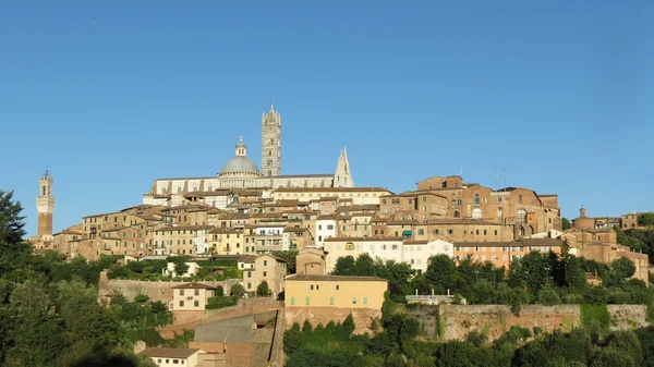 Siena antika centrum — Stockfoto