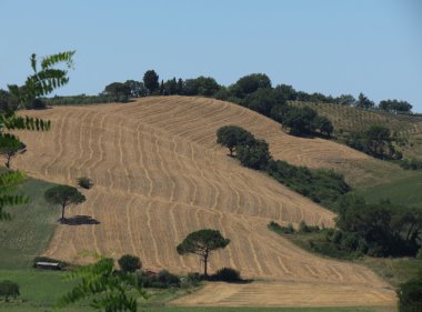 Tipik yatay, Toskana, İtalya Chiantishire bölgede tepelerde