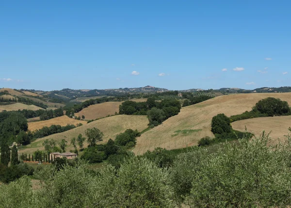 Paesaggio Tipico Con Colline Nella Regione Del Chiantishire Toscana — Foto Stock