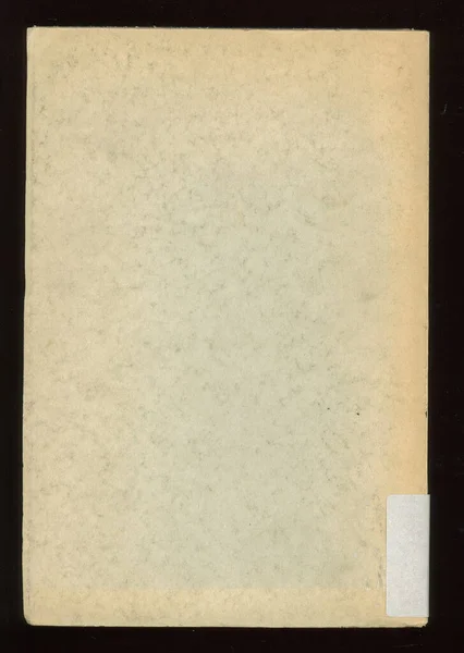 Λεπτομέρεια Του Καλύμματος Σκόνης Ενός Παλιού Βιβλίου — Φωτογραφία Αρχείου