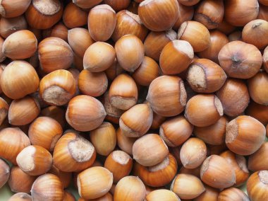 fındık arka plan olarak yararlı