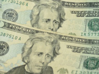 Yirmi dolarlık banknot para kavramı yararlı
