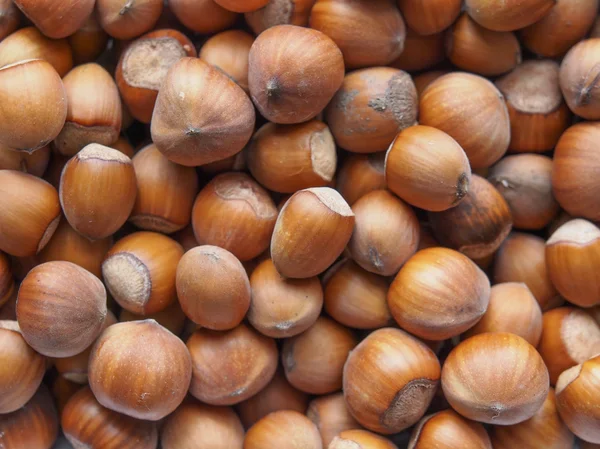 Een Bos Van Hazelnoten Nuttig Als Achtergrond — Stockfoto