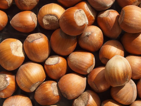 Hazelnuts — Stock Photo, Image