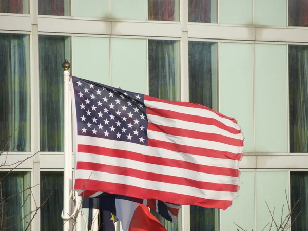 Flagga Att Vifta Med Usa Förenta Staterna — Stockfoto