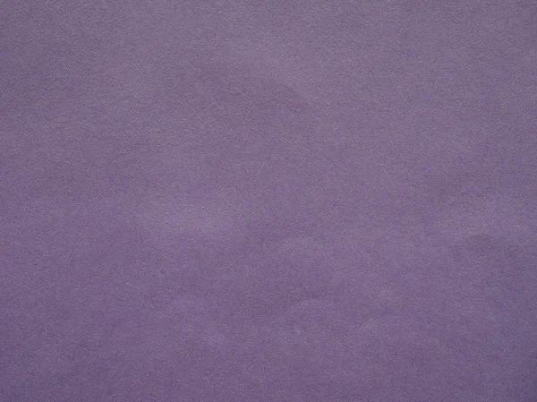 Violet cardboard — Stock Photo, Image