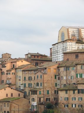 Siena, Katedrali