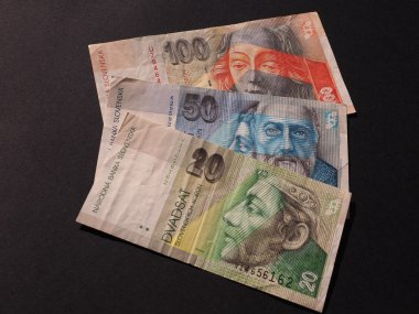 Slovakya para birimi