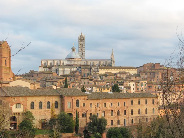 Siena Italský Středověkého Města Katedrála — Stock fotografie