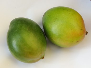 owoce mango zielone na białym tle