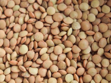 Makro mercimek darbeli somun (Lens culinaris)