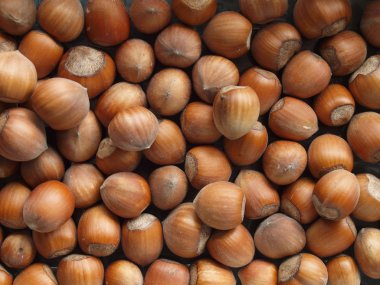 bir avuç fındık arka plan olarak yararlı