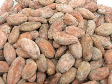 Madagaskar gelen kakao çekirdeği (theobroma kakao)