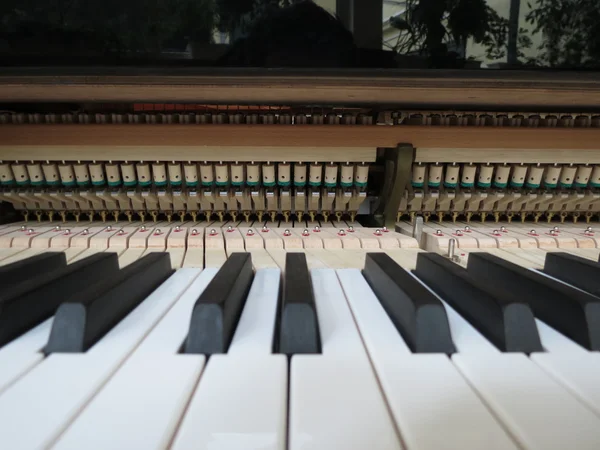 Piano Keyboard Och Bulta Mekaniker — Stockfoto