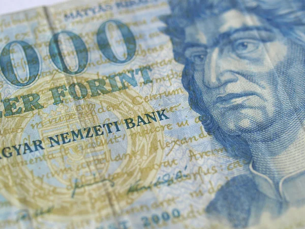 Hungarian forint banknotes — Stock Photo, Image