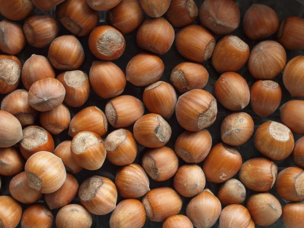 Een Bos Van Hazelnoten Nuttig Als Achtergrond — Stockfoto