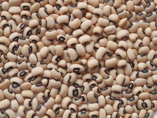 Beans Phaseolus Vulgaris Food Useful Background — Stock Photo, Image