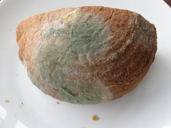 Кусок Хлеба Покрытый Плесенью — стоковое фото